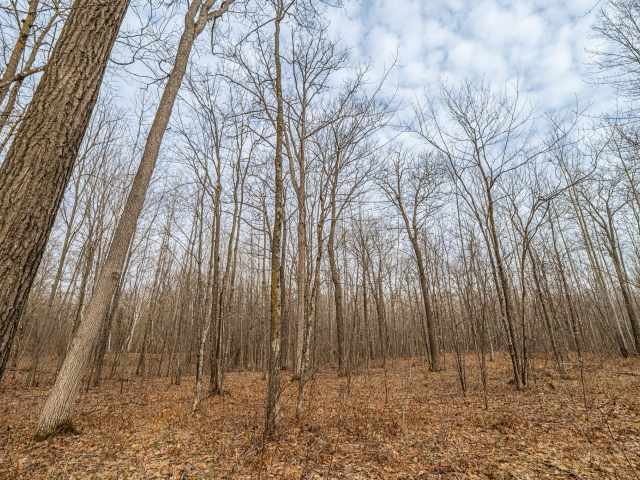 Spooner Residential Real Estate