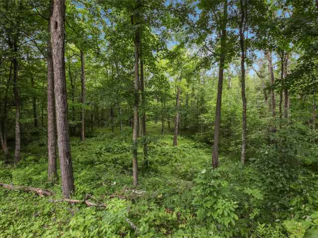 Spooner Residential Real Estate