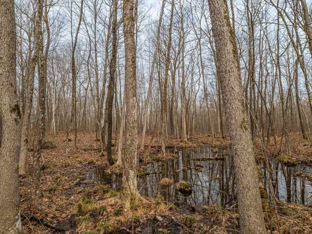 Spooner Residential Real Estate