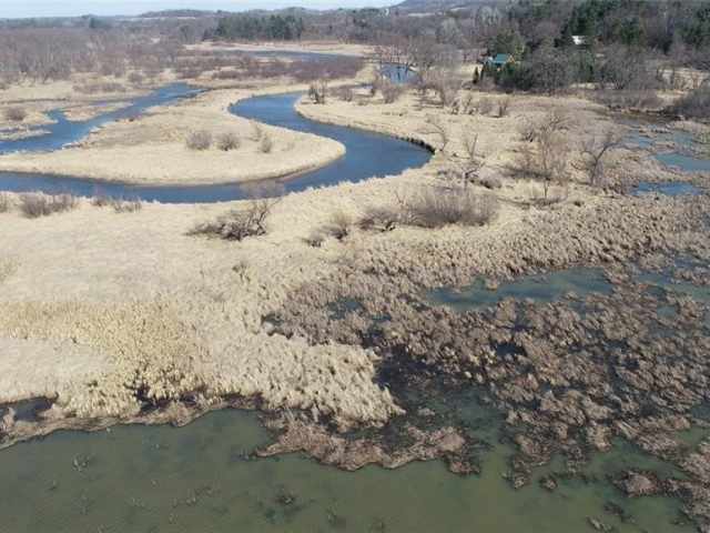 Alma Land Real Estate