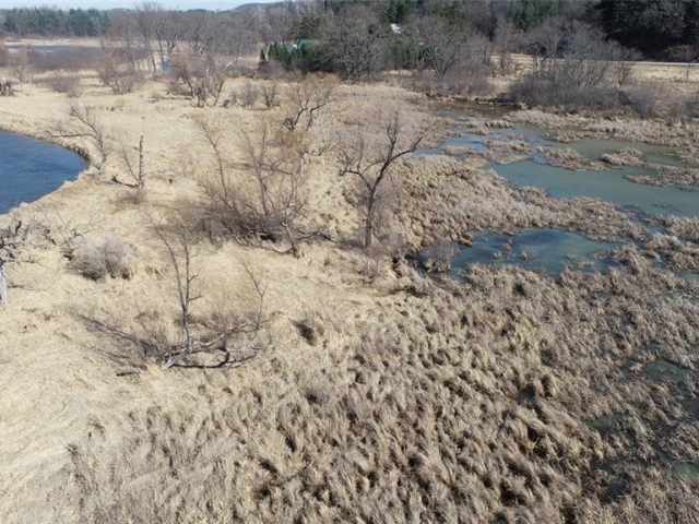 Alma Land Real Estate