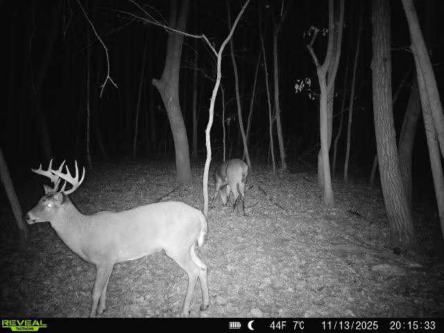 Clayton Residential Real Estate