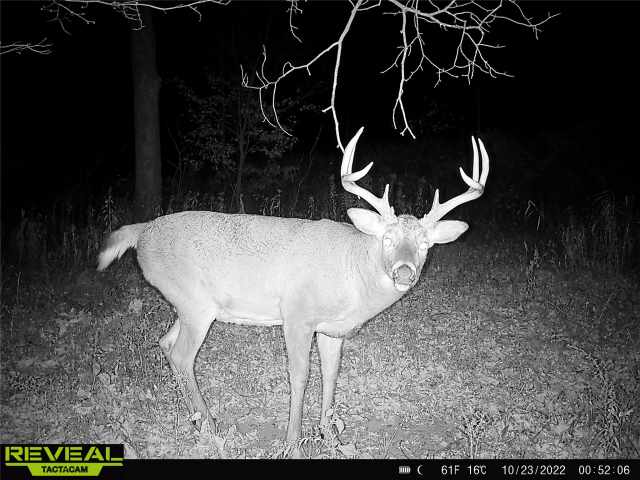 Clayton Residential Real Estate