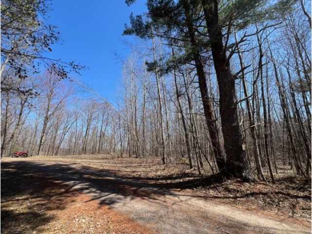 Stone Lake Land Real Estate