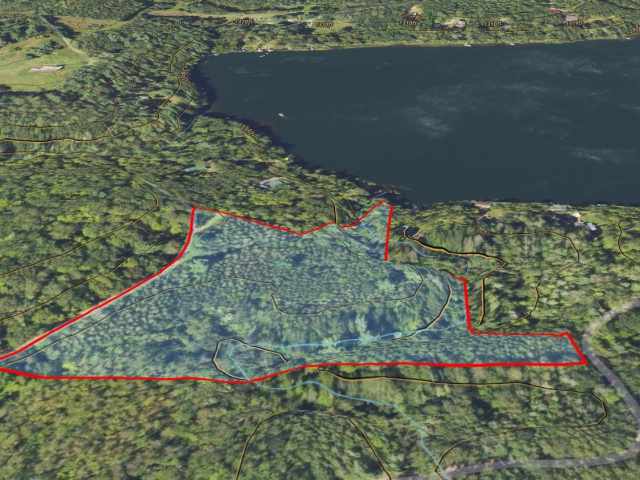 Stone Lake Land Real Estate