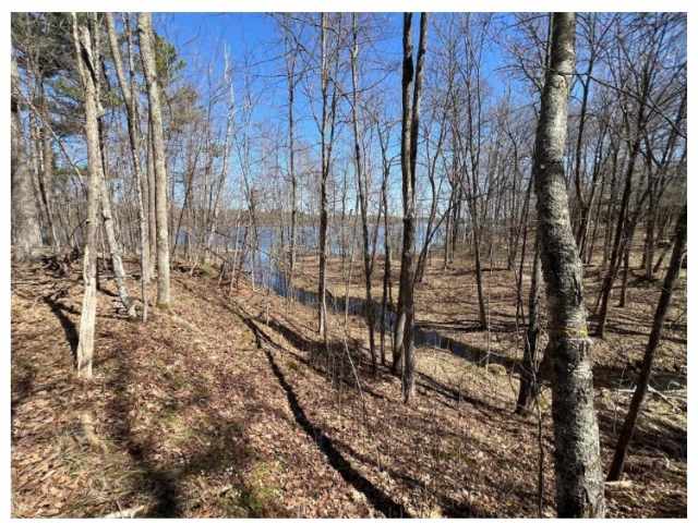 Stone Lake Land Real Estate