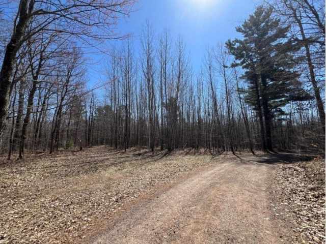 Stone Lake Land Real Estate