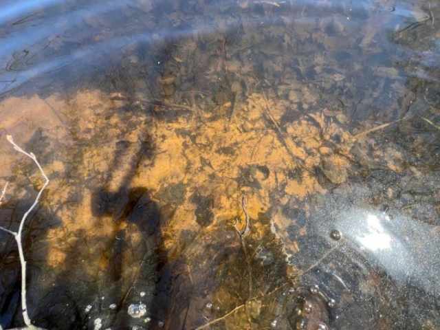 Stone Lake Land Real Estate