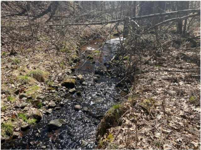 Stone Lake Land Real Estate