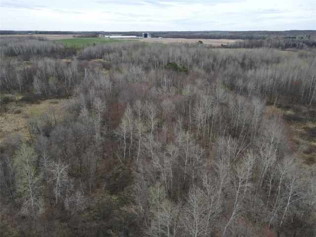 Sarona Land Real Estate