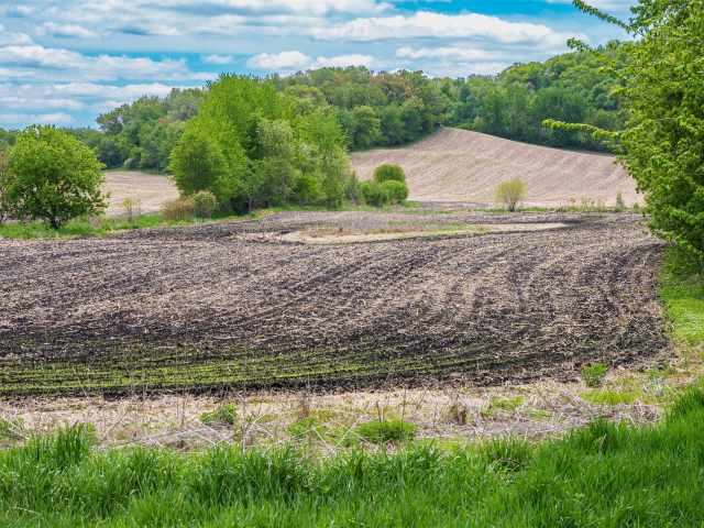 Mondovi Land Real Estate