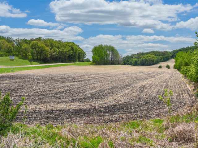 Mondovi Land Real Estate