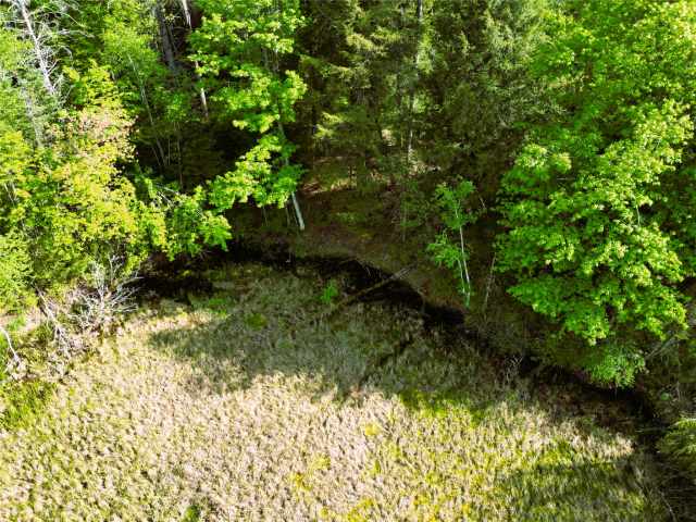 Ladysmith Residential Real Estate