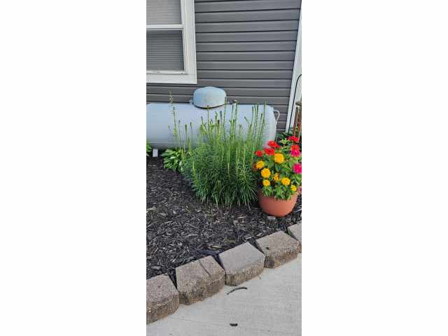 Black River Falls Residential Real Estate