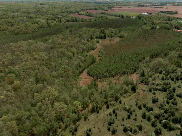 Rice Lake Land Real Estate