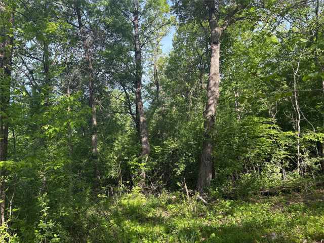 Rice Lake Land Real Estate