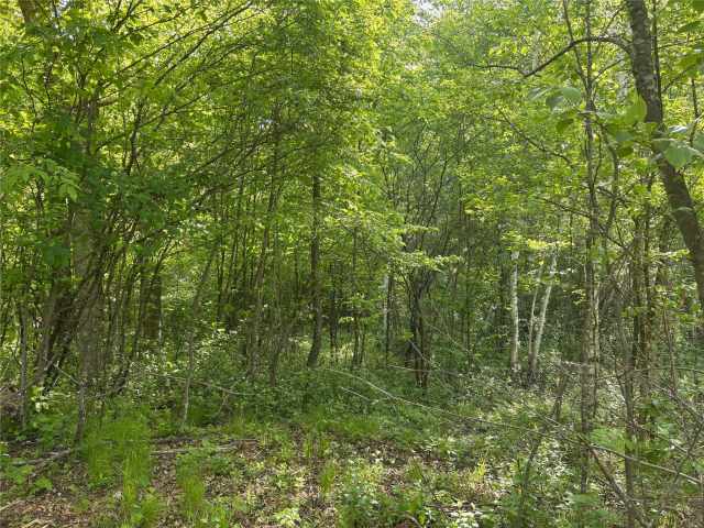 Rice Lake Land Real Estate
