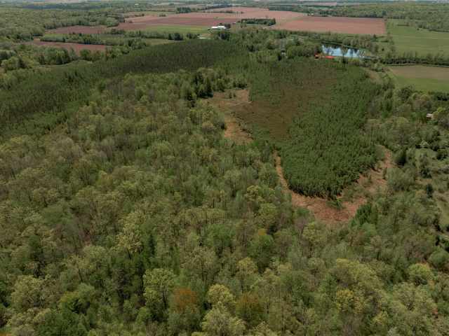 Rice Lake Land Real Estate