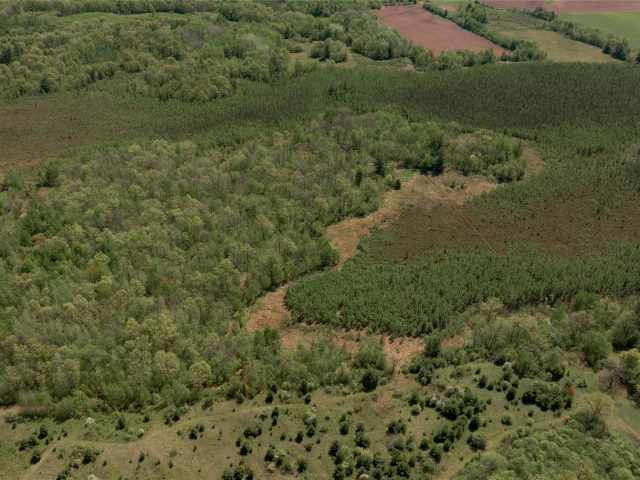 Rice Lake Land Real Estate
