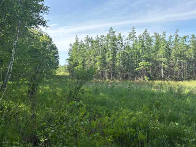 Rice Lake Land Real Estate