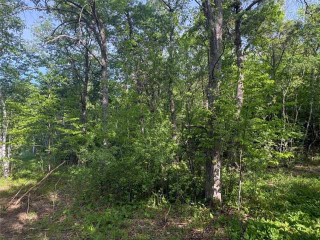 Rice Lake Land Real Estate