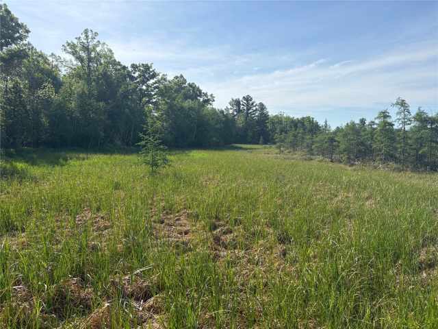 Rice Lake Land Real Estate
