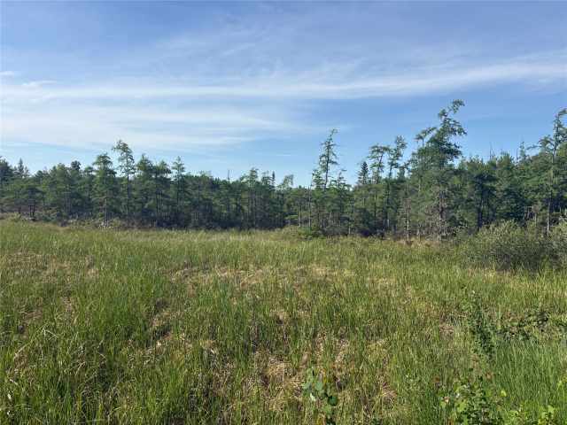 Rice Lake Land Real Estate