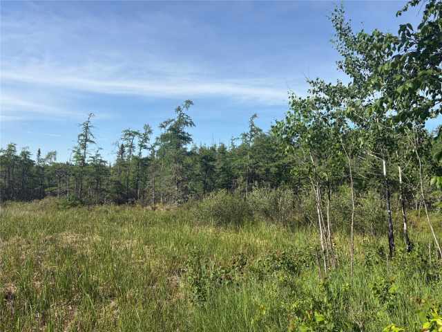 Rice Lake Land Real Estate