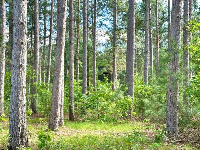 Augusta Land Real Estate