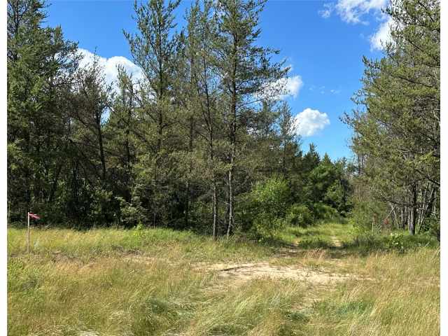 Augusta Land Real Estate