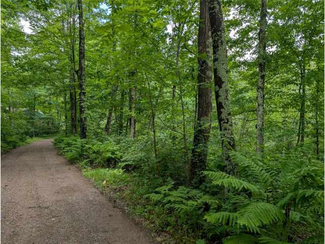 Birchwood Residential Real Estate