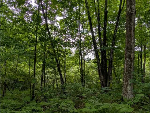 Birchwood Residential Real Estate
