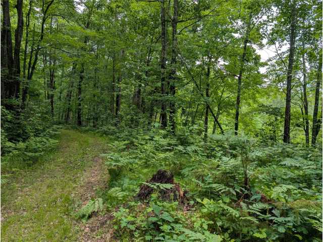 Birchwood Residential Real Estate