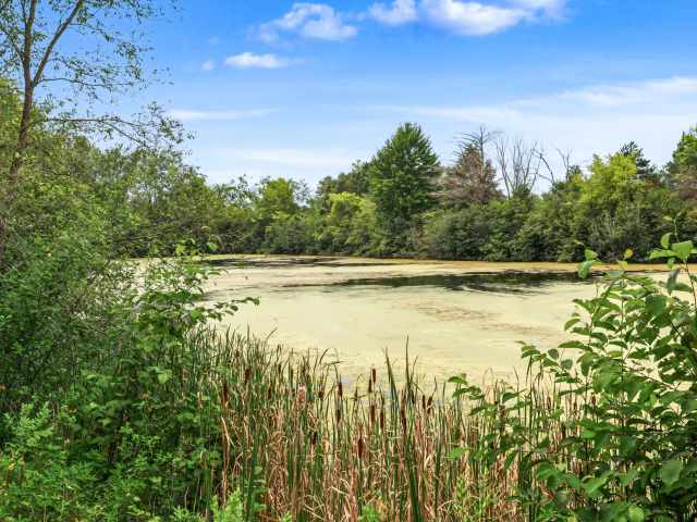Chippewa Falls Residential Real Estate