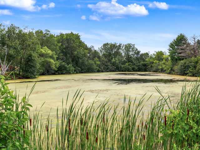 Chippewa Falls Residential Real Estate