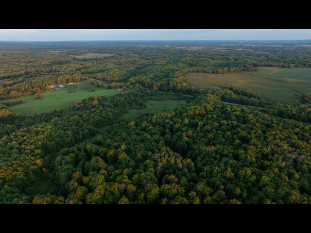 Boyd Residential Real Estate