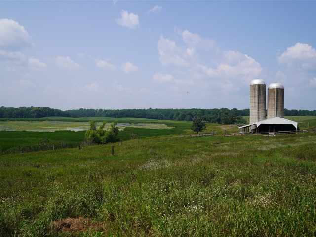 Webster Residential Real Estate