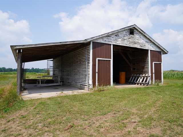 Webster Residential Real Estate
