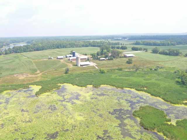 Webster Residential Real Estate