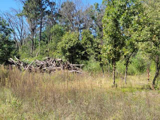 Black River Falls Residential Real Estate