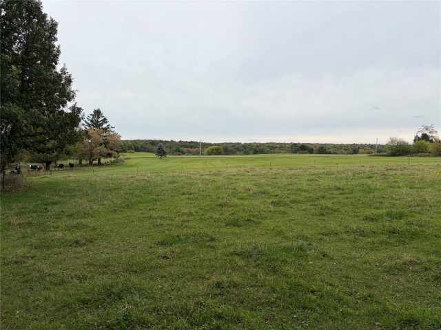 Barron Farm Real Estate