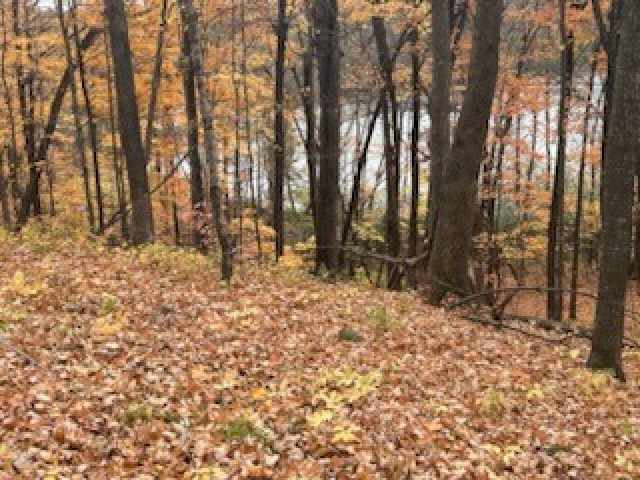 Birchwood Land Real Estate