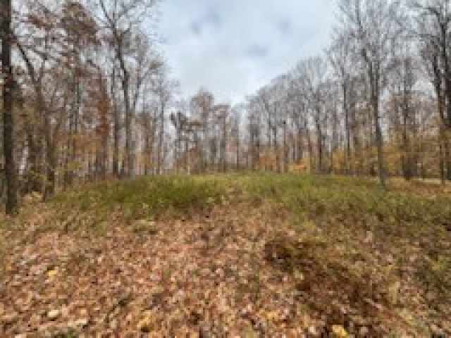 Birchwood Land Real Estate