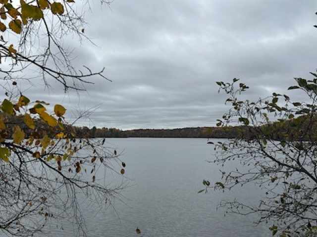 Birchwood Land Real Estate