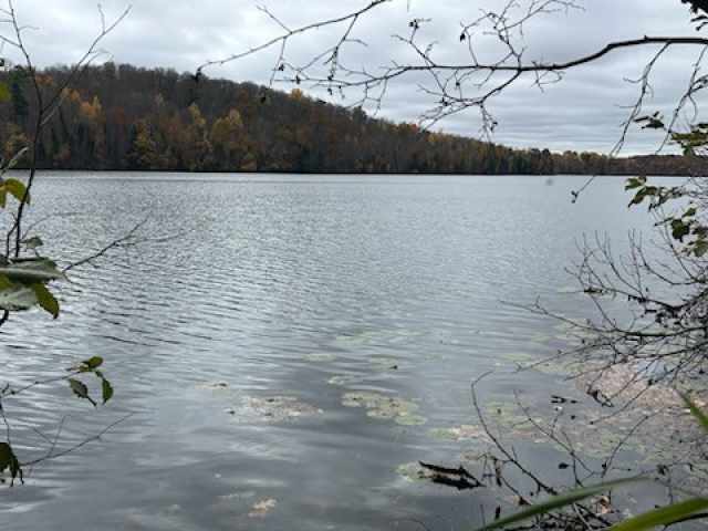 Birchwood Land Real Estate