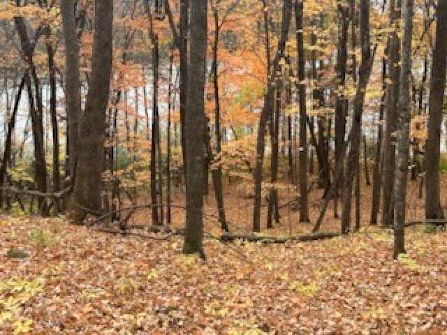 Birchwood Land Real Estate