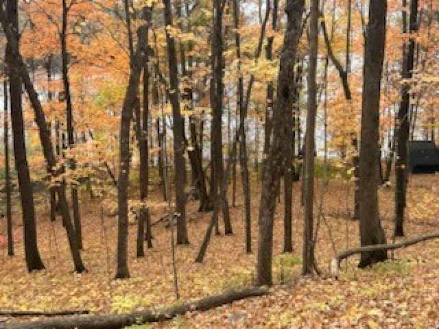 Birchwood Land Real Estate