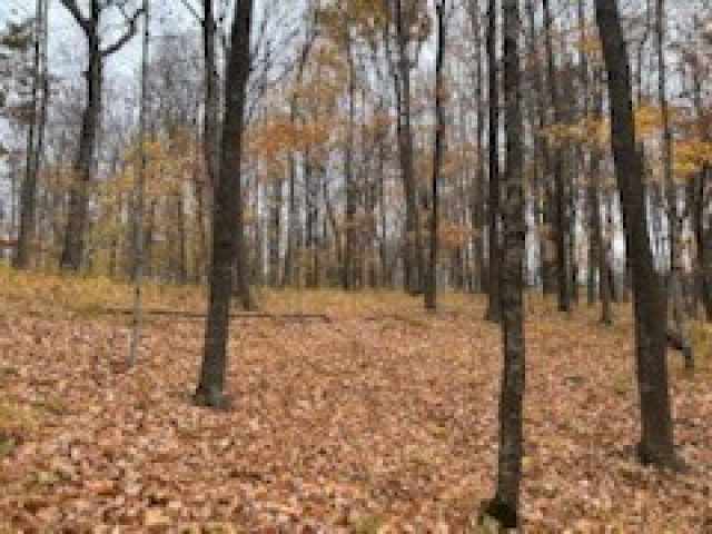 Birchwood Land Real Estate