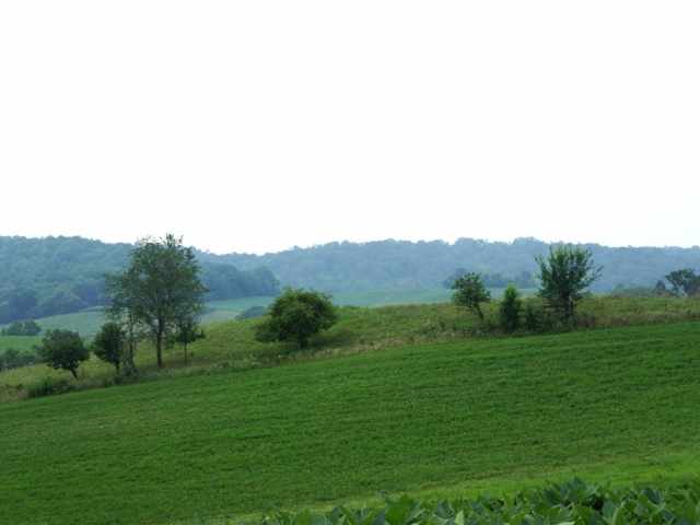 Mondovi Land Real Estate