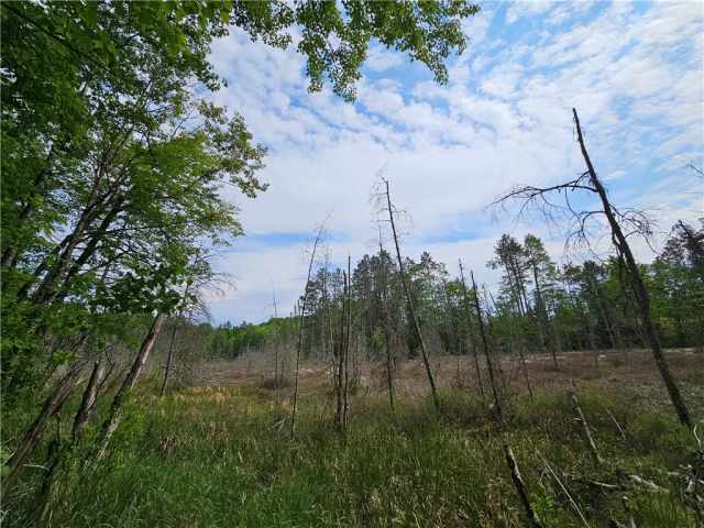 Hayward Residential Real Estate